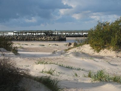 IMG_7142.JPG