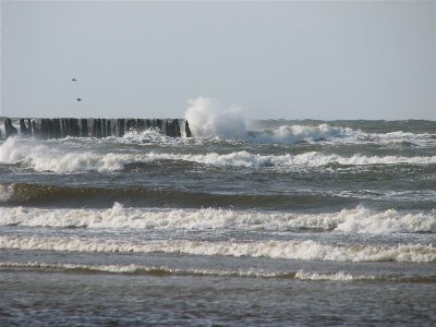 IMG_7188.JPG