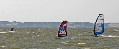 IMG_9840t_DRE.jpg