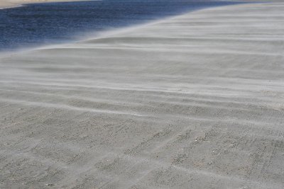 IMG_2225_m.JPG