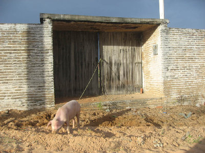 apsauga.jpg (163.68 KiB) Peržiūrėta 7049 kartus(ų) apsauga.jpg