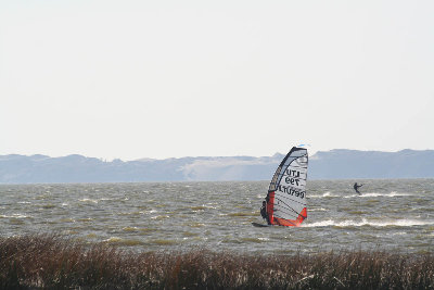IMG_7480.jpg