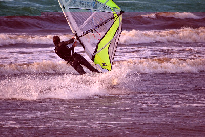 DSC_0185.jpg
