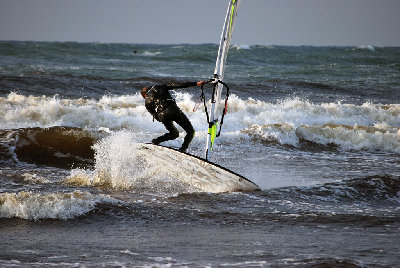 DSC_0195.jpg