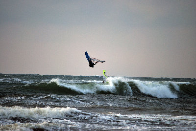 DSC_0230.jpg
