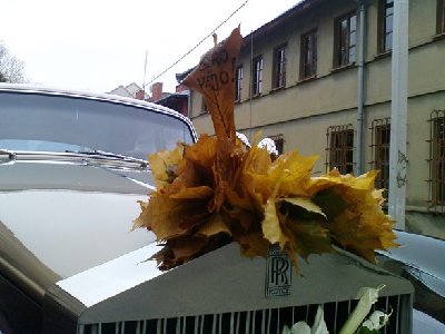 DSC01142.JPG
