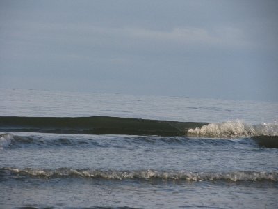 2008 12 07 036.jpg
