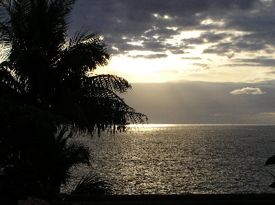 kanarai_2008 259.jpg