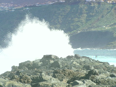 kanarai_2008 335.jpg