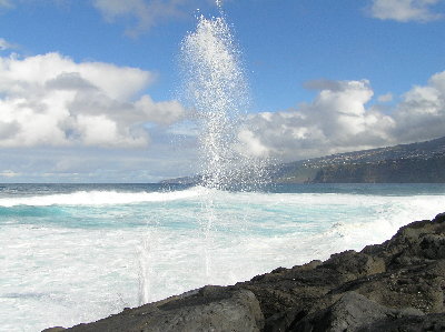 kanarai_2008 339.jpg