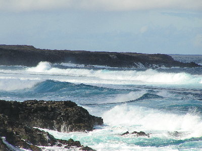 kanarai_2008 343.jpg