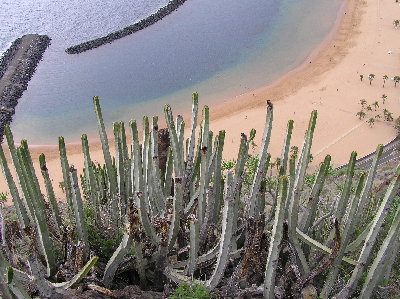 kanarai_2008_2 023.jpg
