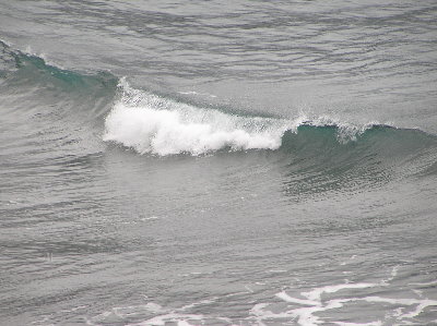 kanarai_2008_2 040.jpg