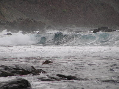 kanarai_2008_2 048.jpg