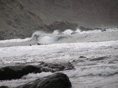 kanarai_2008_2 054.jpg