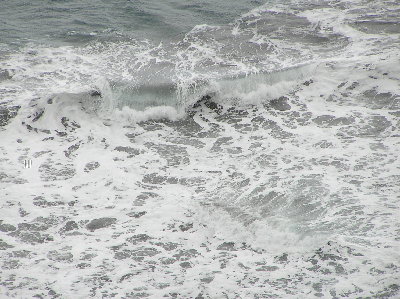 kanarai_2008_2 056.jpg