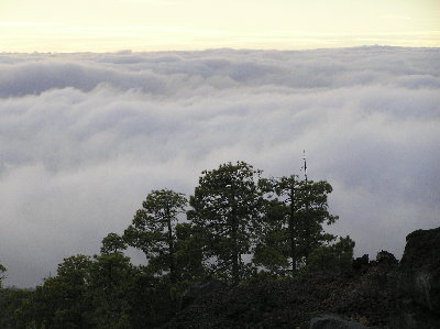kanarai_2008_2 077.jpg