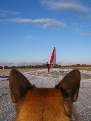 2009 01 02 049.jpg