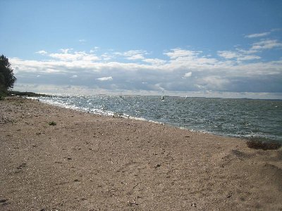 img_3445.jpg