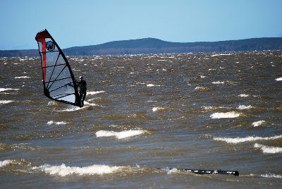 DSC_2338.jpg