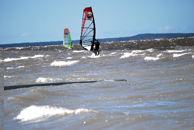 DSC_2342.jpg