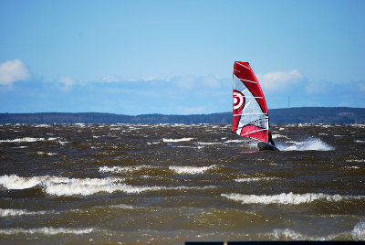 DSC_2393.jpg