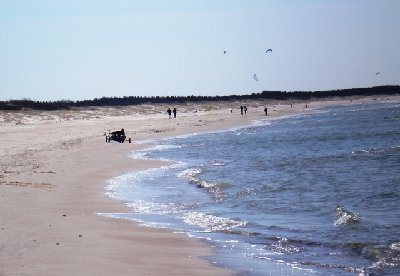 03.JPG