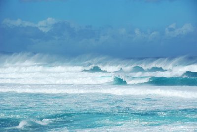 DSC_3652 2.jpg