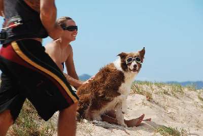 Kite beach.jpg