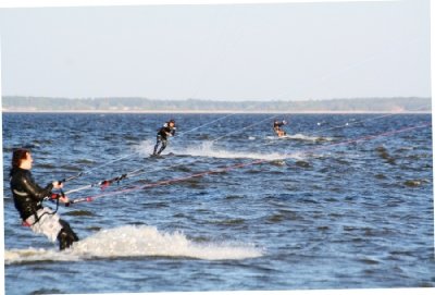 IMG_4710.JPG