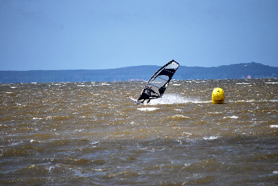 DSC_3374.jpg