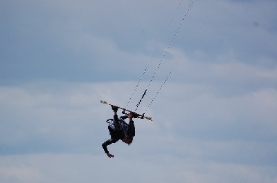 8_mantas.jpg