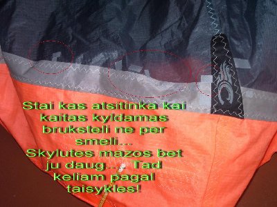 IMGP9408_resize.JPG