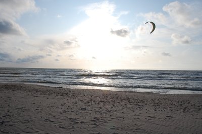 DSC_4571.JPG