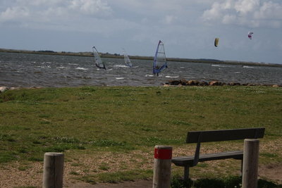 119.jpg