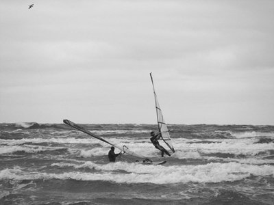 IMG_0090.jpg