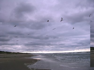 IMG_0091.jpg