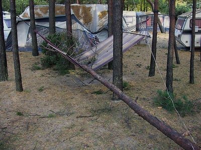 DSCN4172-1.JPG