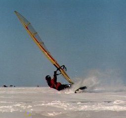 snowfer2.jpg