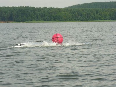 Resize of DSCN6620.jpg