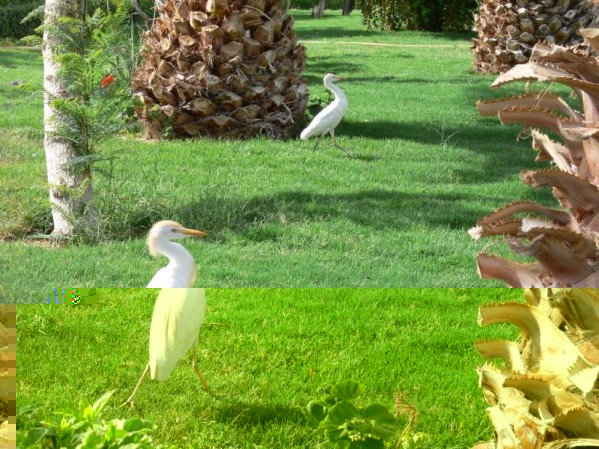 t_shams_hotel_diena_2__23__196.jpg (154.9 KiB) Peržiūrėta 5392 kartus(ų) t_shams_hotel_diena_2__23__196.jpg