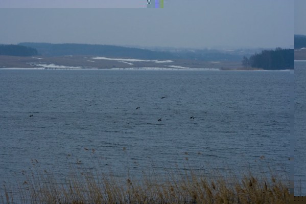13.jpg (72.62 KiB) Peržiūrėta 6030 kartus(ų) 13.jpg