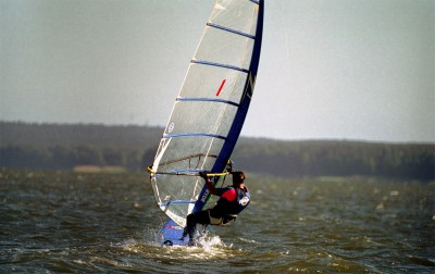 260.jpg