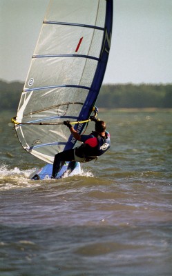 238.jpg