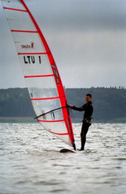 231.jpg