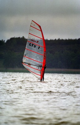 230.jpg