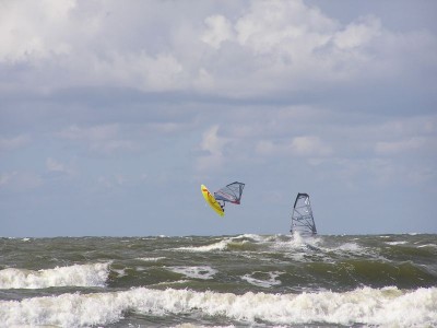 P1010088.jpg