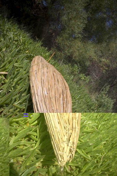 Reed Surfboard_0856.jpg (121.17 KiB) Peržiūrėta 21404 kartus(ų) Reed Surfboard_0856.jpg