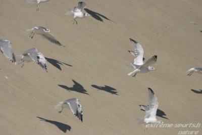 IMG_0964_resize.JPG