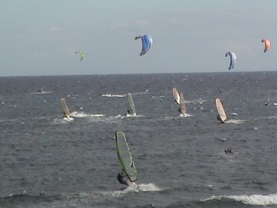 DSC08007.JPG